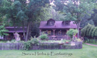 Sara's Herbs and Everlastings.jpg